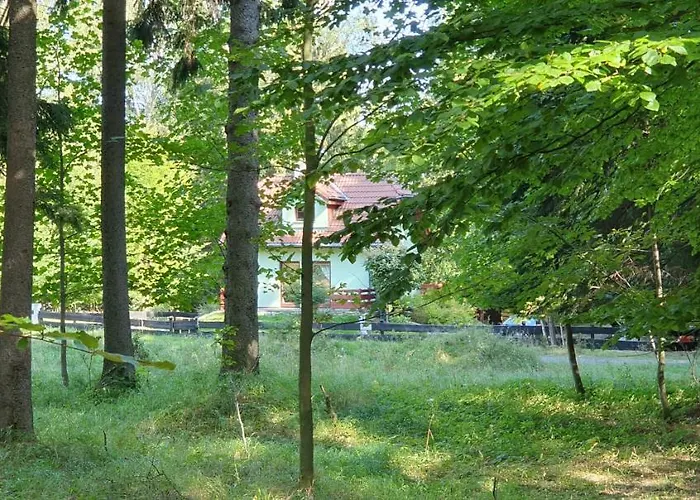 Tylko Tu * シクラルスカ・ポレンバ