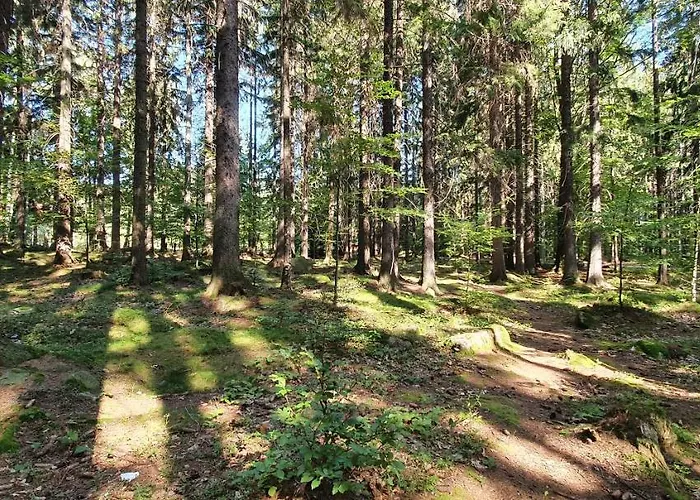 Tylko Tu シクラルスカ・ポレンバ